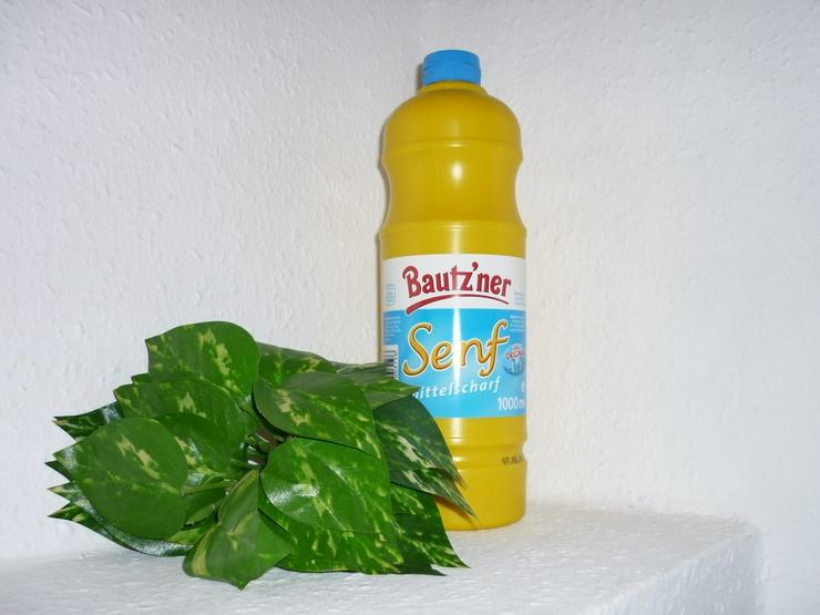 Bild 4: Bautzner mittelscharfer Senf  300 ml Quetschfl.
