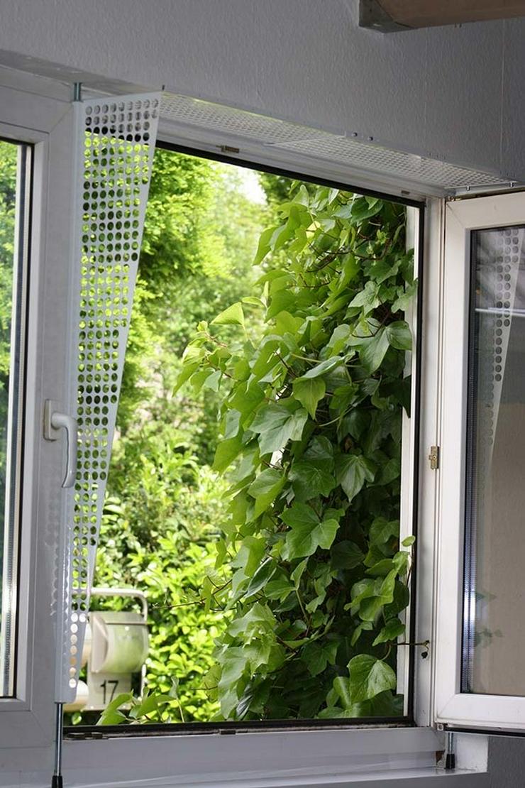 Bild 7: Kippfensterschutz für Katzen von austmetall, OHNE BOHREN OHNE KLEBEN, SYSTEM 4