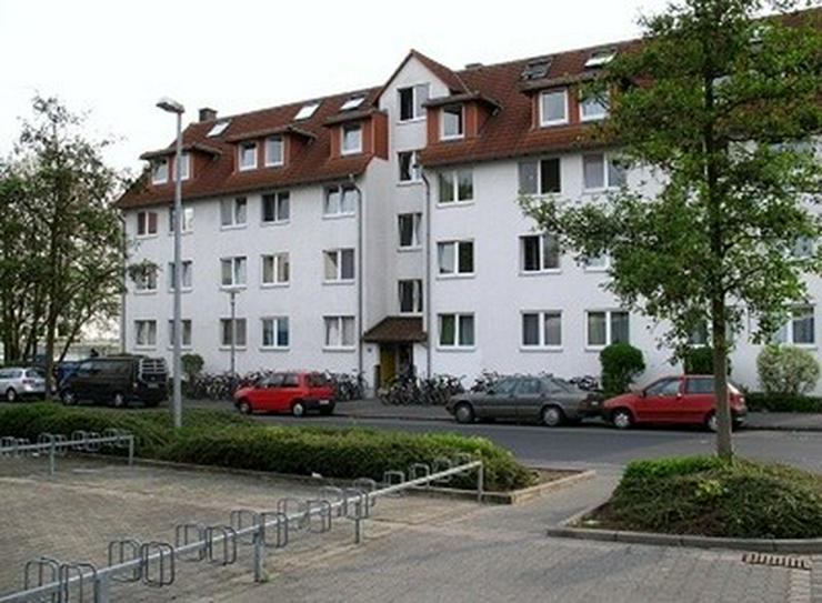 Bild 9: 1-Zi-Whg 37075 Göttingen City Apartment SS 24