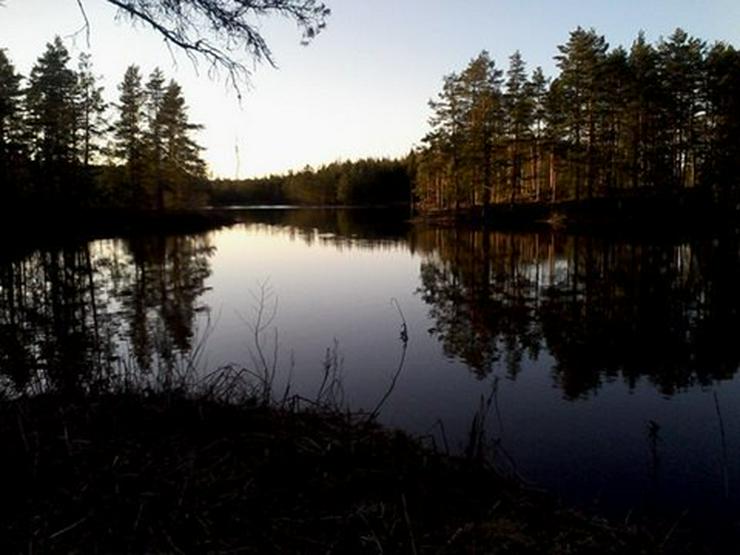 Pilze suchen zander und hecht nachstellen - Ferienhaus Schweden - Bild 11