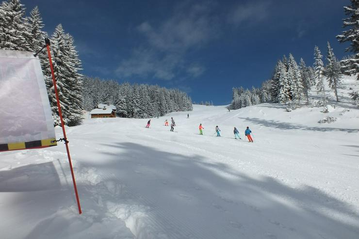 Schönes Ferienhaus 8/10 Pers., Berg/Skigebiet (Kärnten-Austria) - Kärnten - Bild 9