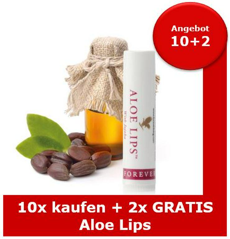 FOREVER Aloe Lips 10+2x GRATIS | Staffelpreise für 6-12-24-36-72 Stück | Hochwertiger Lippenpflegestift zum Bestpreis