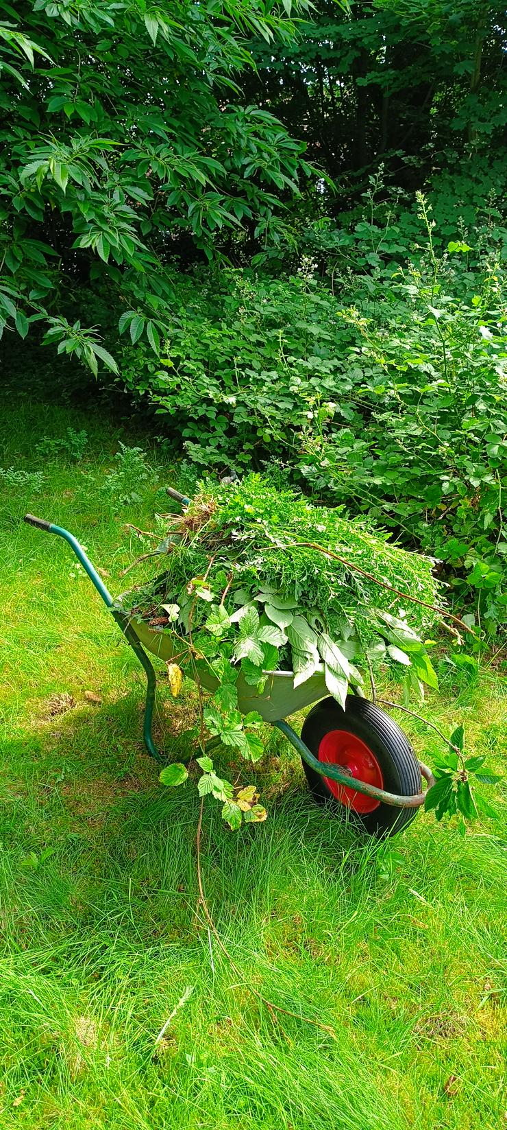 Bild 17: Gartenhelfer hilft in Meerbusch und Düsseldorf