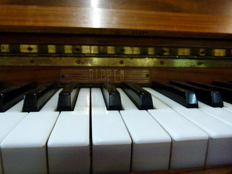 Bild 9: Klavier Rippen