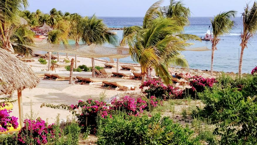 KaribikVilla CURACAO mit FerienvermietExistenz - Gewerbeimmobilie kaufen - Bild 12