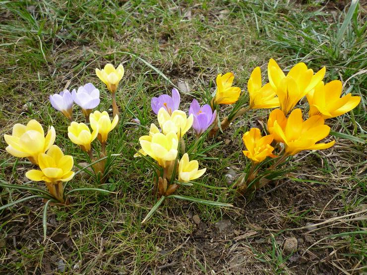 Bild 4: Winter, Frühling, Ostern, Pfingsten, Sommer, Herbst 2023