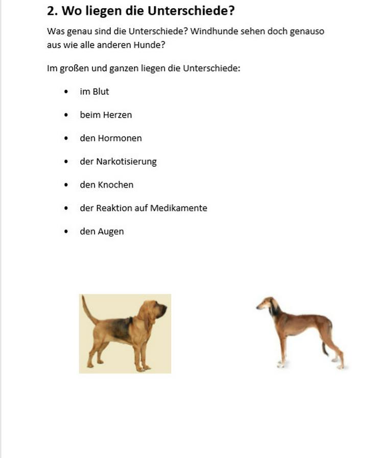 Sind Windhunde auch richtige Hunde? - Tierärzte - Bild 2