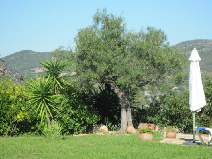 Bild 3: Mallorca-Son Macia, App. Sur der FincaOase