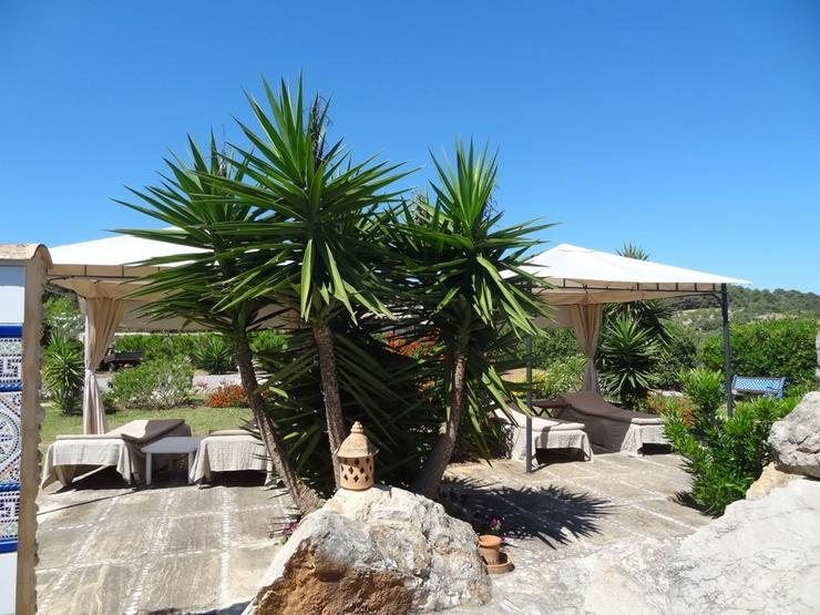 Bild 10: Mallorca-Son Macia, Gästehaus der FincaOase