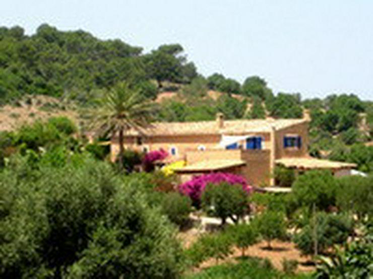 Bild 15: Mallorca-Son Macia, Gästehaus der FincaOase