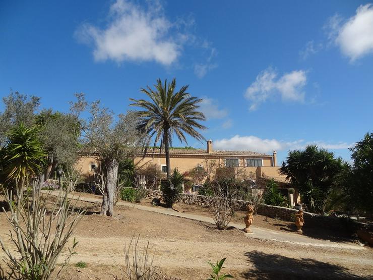Bild 18: Mallorca-Son Macia, Gästehaus der FincaOase