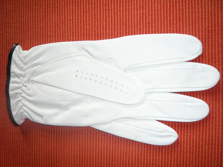Bild 2: Golf-Handschuhe von Firma Kasko Gr. 95