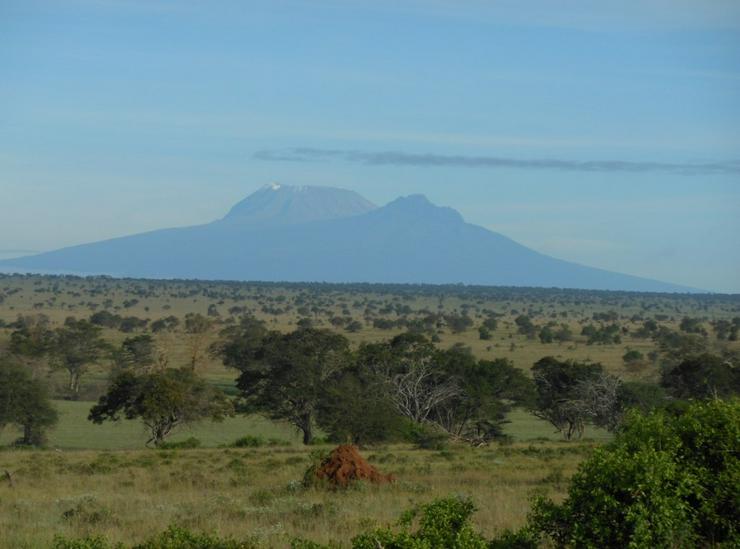 Bild 17: Safari Kenia Tansania? Safari Führer angeboten