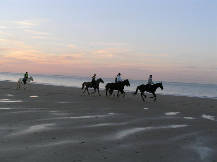 Bild 12: Ferienhaus in Renesse zu vermieten