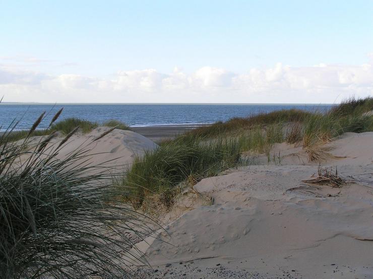 Bild 13: Ferienhaus in Renesse zu vermieten