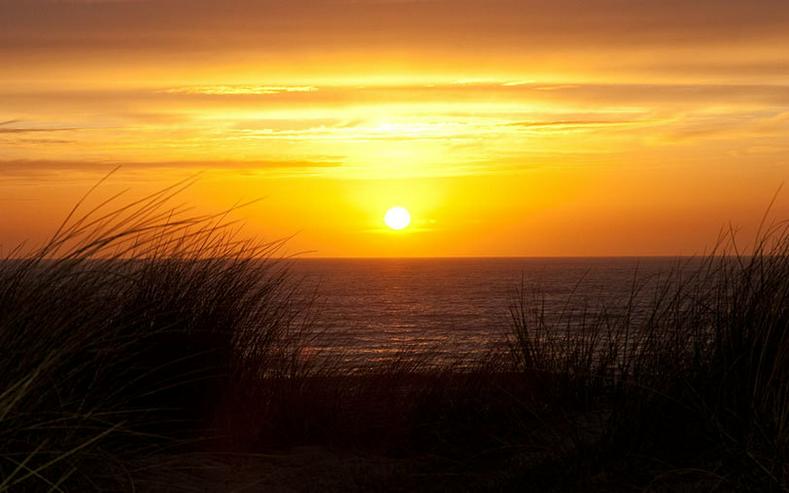 Bild 7: Nordseestrand Holland: Apartment mit Meerblick