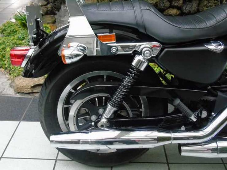 HARLEY DAVIDSON Sportster XL 883 R - Harley Davidson - Bild 2