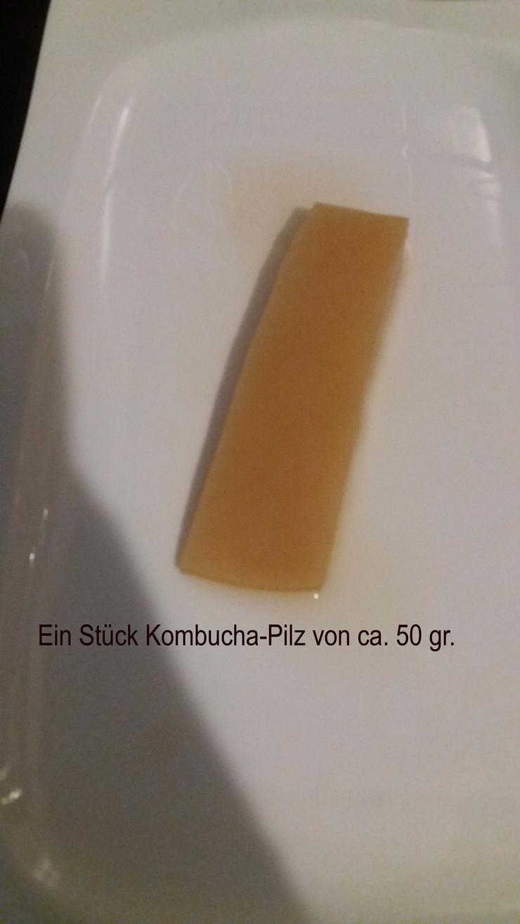 Kombucha - 100 gramm frischer Pilz - Früchte, Gemüse & Pilze - Bild 3