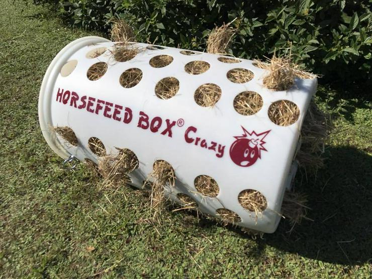 Bild 11: HORSEFEED BOX Crazy Bomb - Slow Feeder - Heutonne - Heurolle - Heuraufe - Heukiste