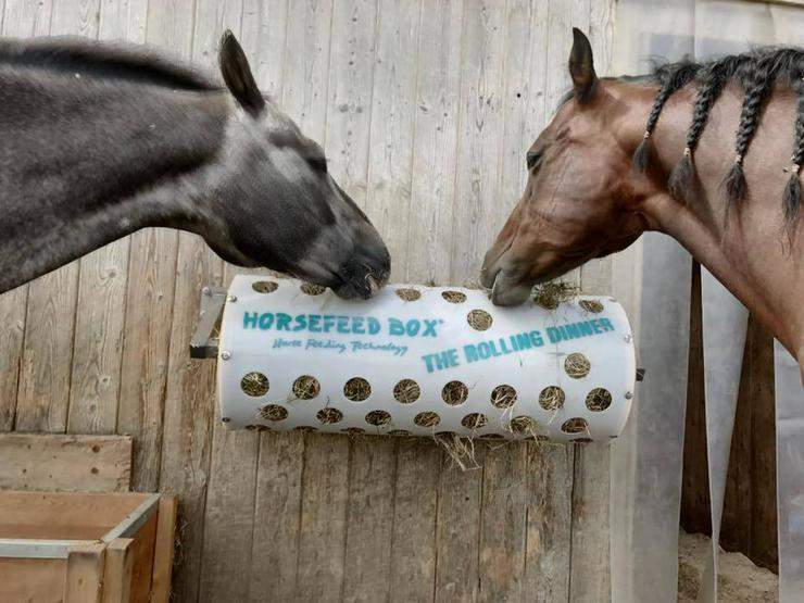HORSEFEED BOX® The Rolling Dinner - Modell 40