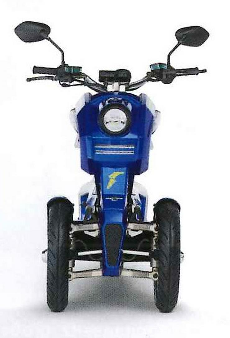 Elektro Scooter Fahrzeug Sonderfahrzeug Mobil - Moped & Motorroller - Bild 13