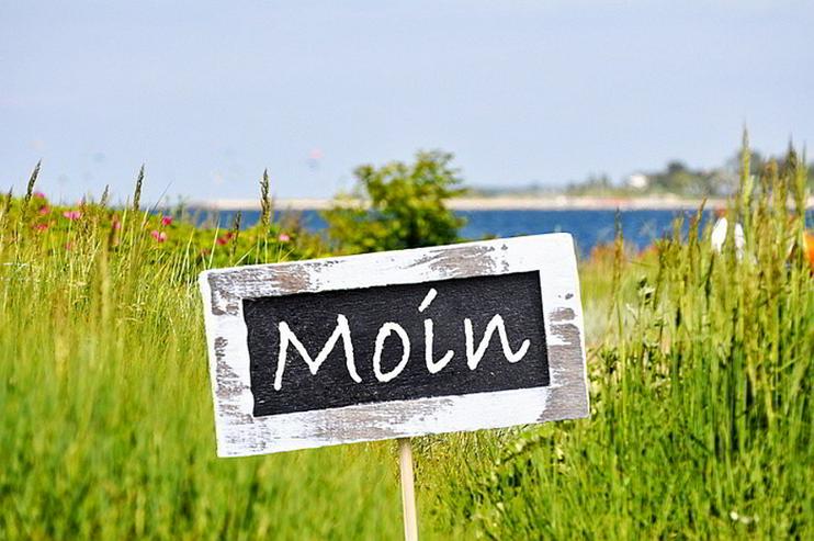 Immobilie an der Nordseeküste - Ferienhaus Nordsee - Bild 7