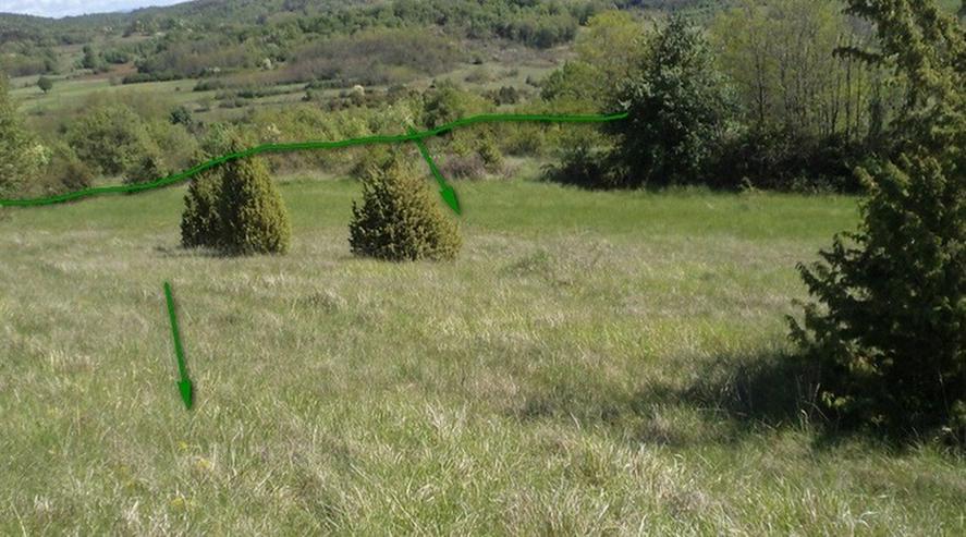 Land zu verkaufen 46.576 m2, Kroatien, Istrien - Grundstück kaufen - Bild 11