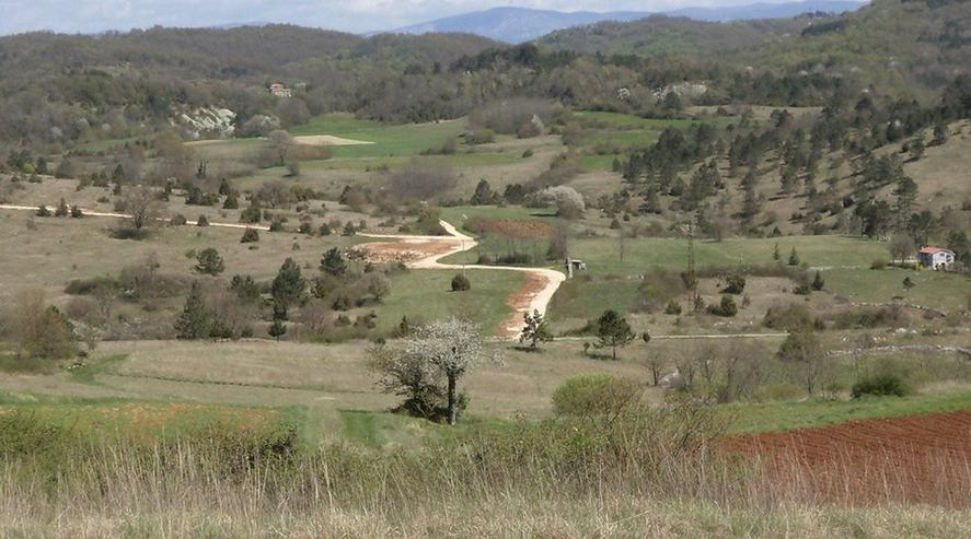 Land zu verkaufen 46.576 m2, Kroatien, Istrien - Grundstück kaufen - Bild 16