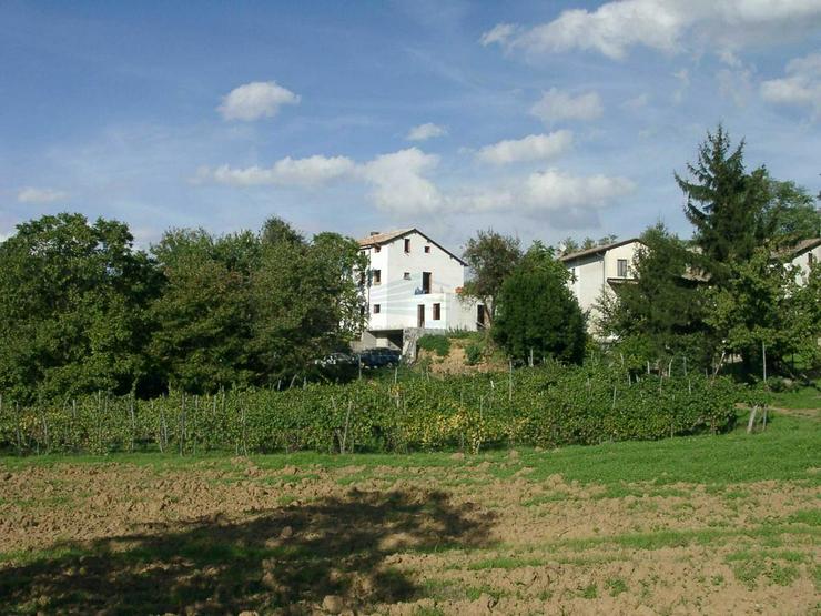 PROVISIONSFREI: Einfamilienhaus in den Weinbergen der Region vor PAVIA - Haus kaufen - Bild 3