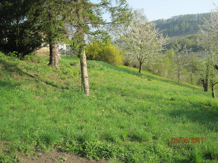 Bau Grundstueck im reichen Seebach bei Eisenach - Grundstück kaufen - Bild 4
