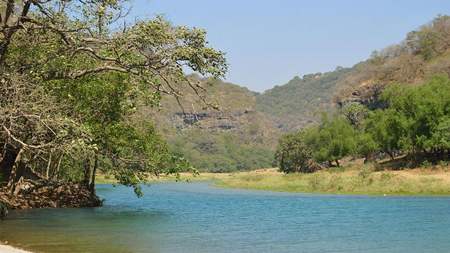 Bild 9: Saisonale/ Permanente Stellen in Oman