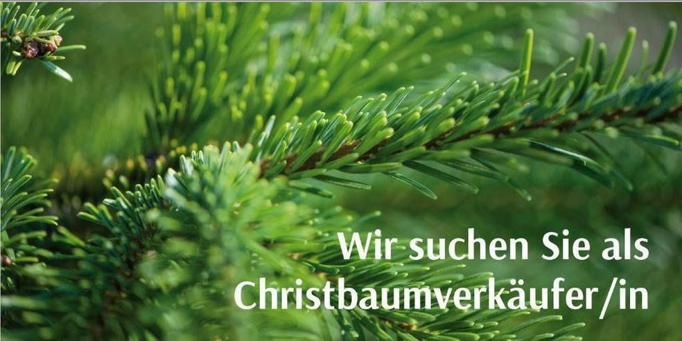 Christbaumverkäufer-/in für Dezember 2021