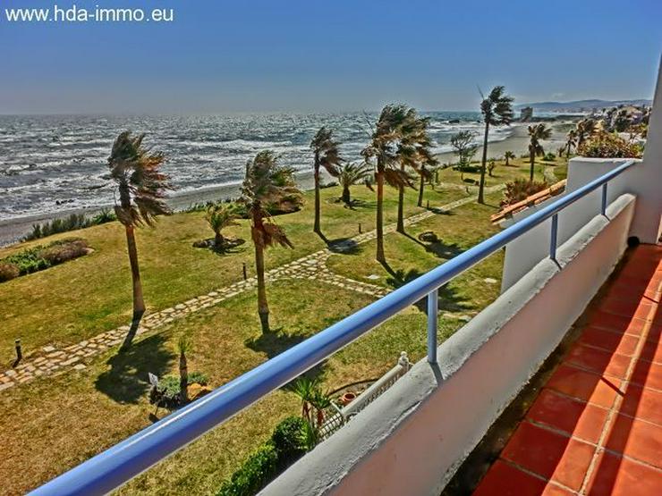 : gewaltiges Penthouses in Casares Costa direkt am Meer - Wohnung kaufen - Bild 15