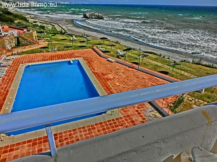 Bild 8: : gewaltiges Penthouses in Casares Costa direkt am Meer