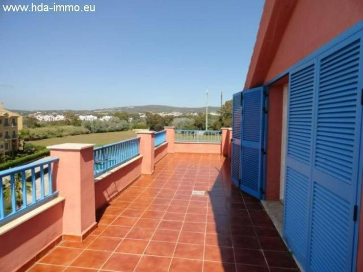 Bild 9: : Helles Penthouse in der Marina in Sotogrande