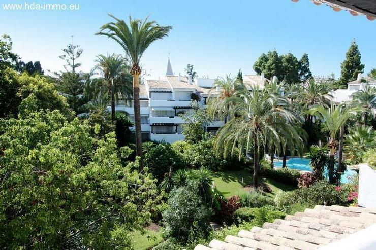 Wohnung in 29602 - Marbella - Wohnung kaufen - Bild 9