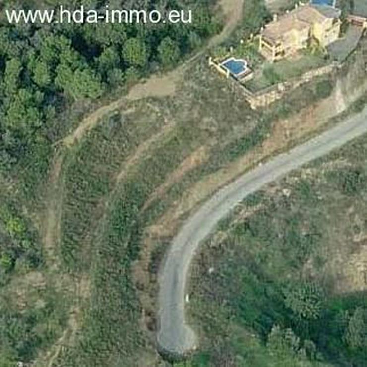 Grundstueck in 29600 - Marbella - Grundstück kaufen - Bild 2