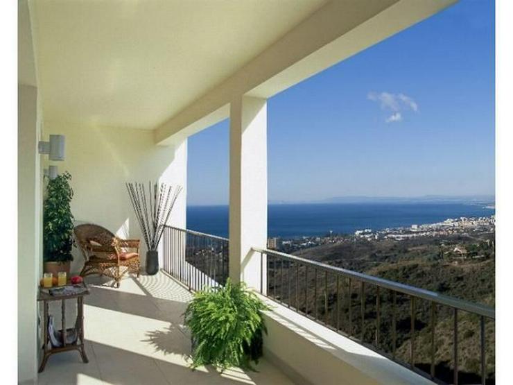 Wohnung in 29603 - Marbella - Wohnung kaufen - Bild 15