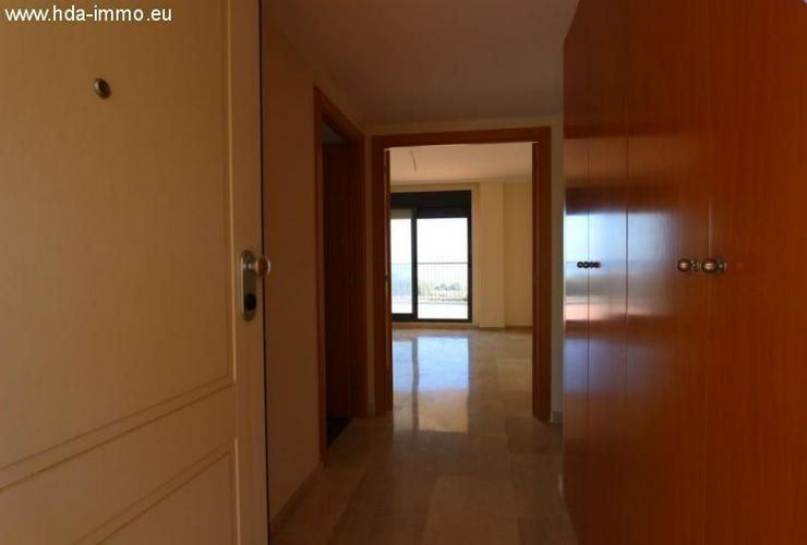 Bild 9: : gigantisches Penthouse mit abolutem Meerblick in Casaras DONA JULIA
