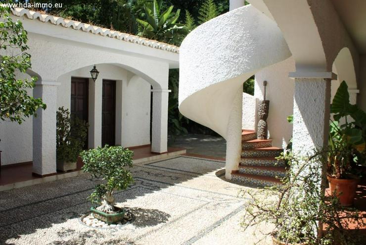 Bild 7: : 10 SZ Villa mit gewaltigen Grundstück in Banalmadena Pueblo