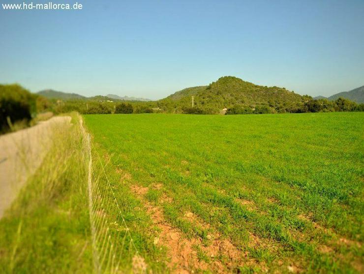 Grundstueck in 07560 - Cala Millor - Grundstück kaufen - Bild 9