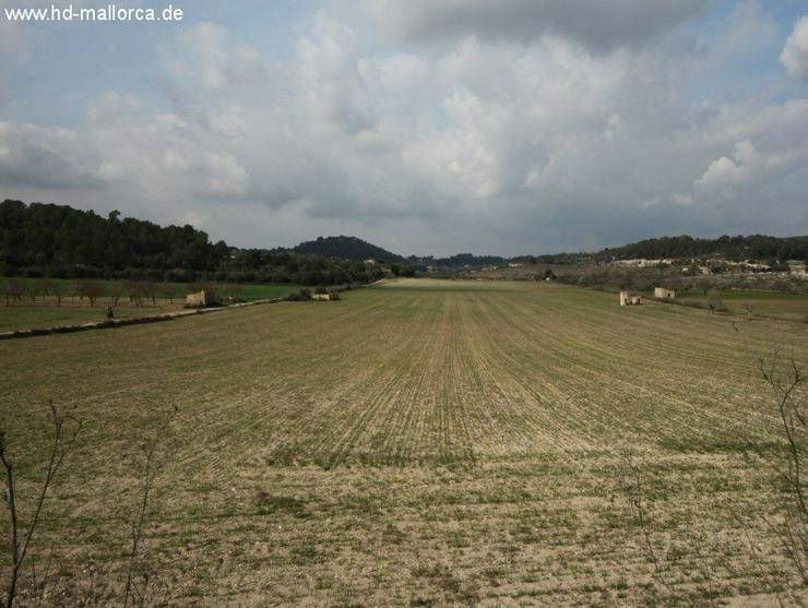 Bild 8: Grundstueck in 07250 - Vilafranca de Bonany