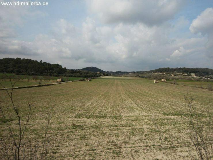 Grundstueck in 07250 - Vilafranca de Bonany - Grundstück kaufen - Bild 7