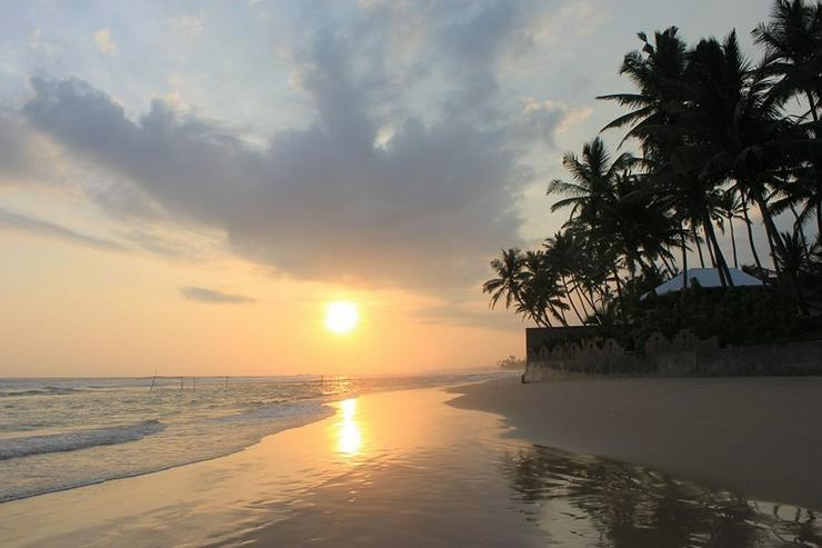Bild 4: Sri Lanka Urlaub  günstig 500m zum Strand