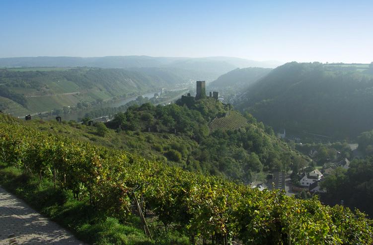 Bild 7: Last-Minute- Spätsommer an der Mosel