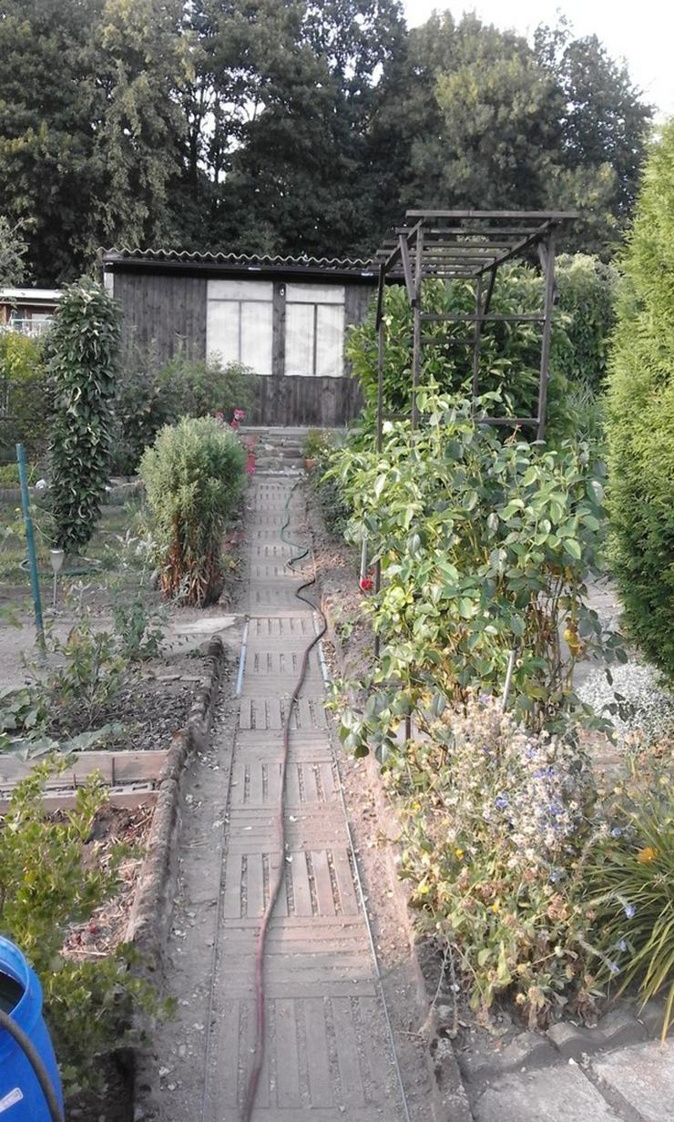 Bild 7: Verkaufe schönen Garten