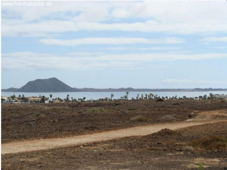 Bild 6: Grundstueck in 35660 - Corralejo