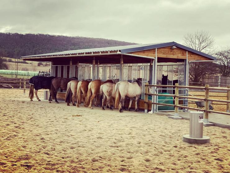 Bild 5: Außenbox & Pferdestall bauen und Offenstall, Paddockbox, Stallungen & Weidehütte mit Fressgitter | Stallbau - Offenstallhaltung, Pferdesport & Reitsportsystem TOP Stallplanung