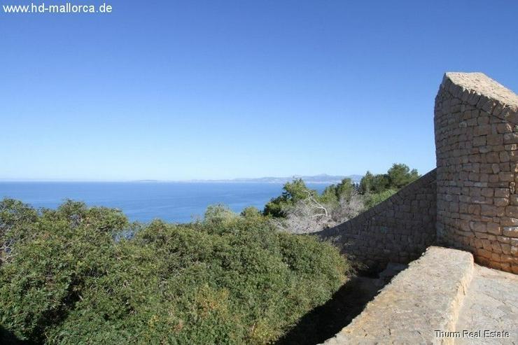 Grundstueck in 07620 - Sa Torre - Grundstück kaufen - Bild 5