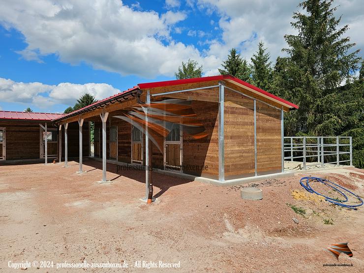 Bild 7: Ihr perfekter Pferdestall bauen : Außenbox | Pferdebox & Innenbox, Offenstall & Weidehütte kaufen